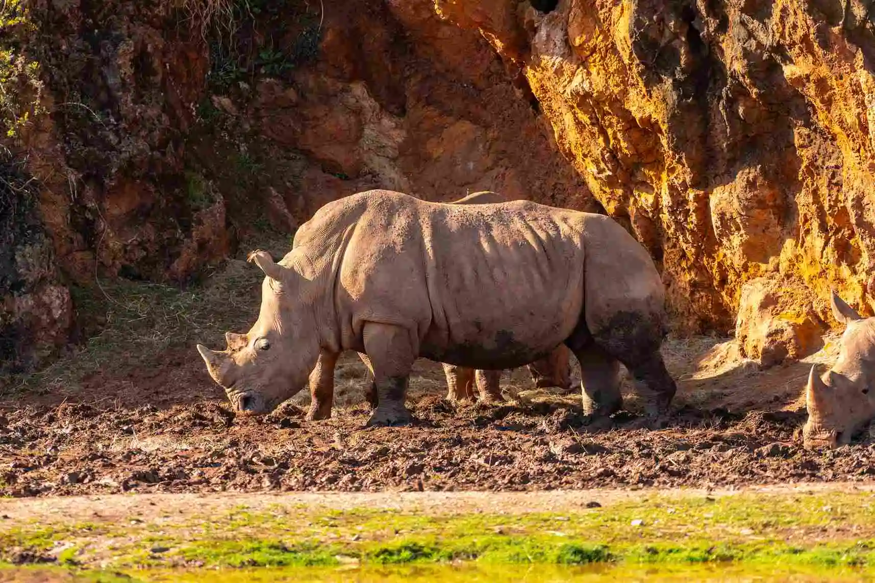 Hluhluwe-iMfolozi Nationalpark