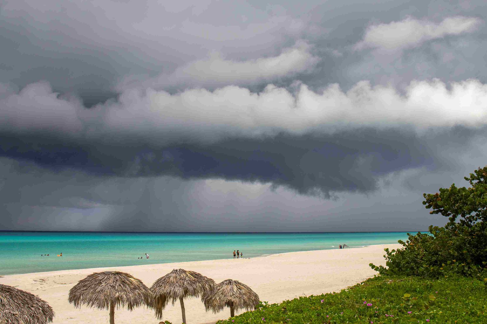 Sansibar Regentage 2025