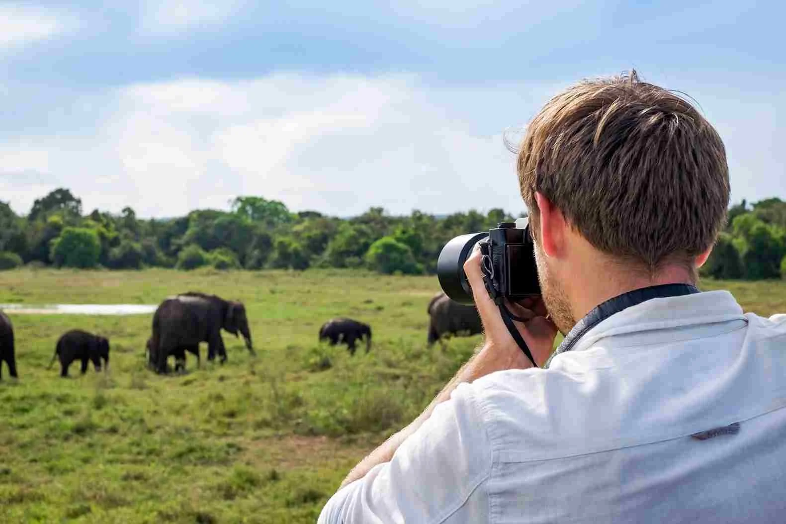 Fotografie Tipps für Safari in Tansania