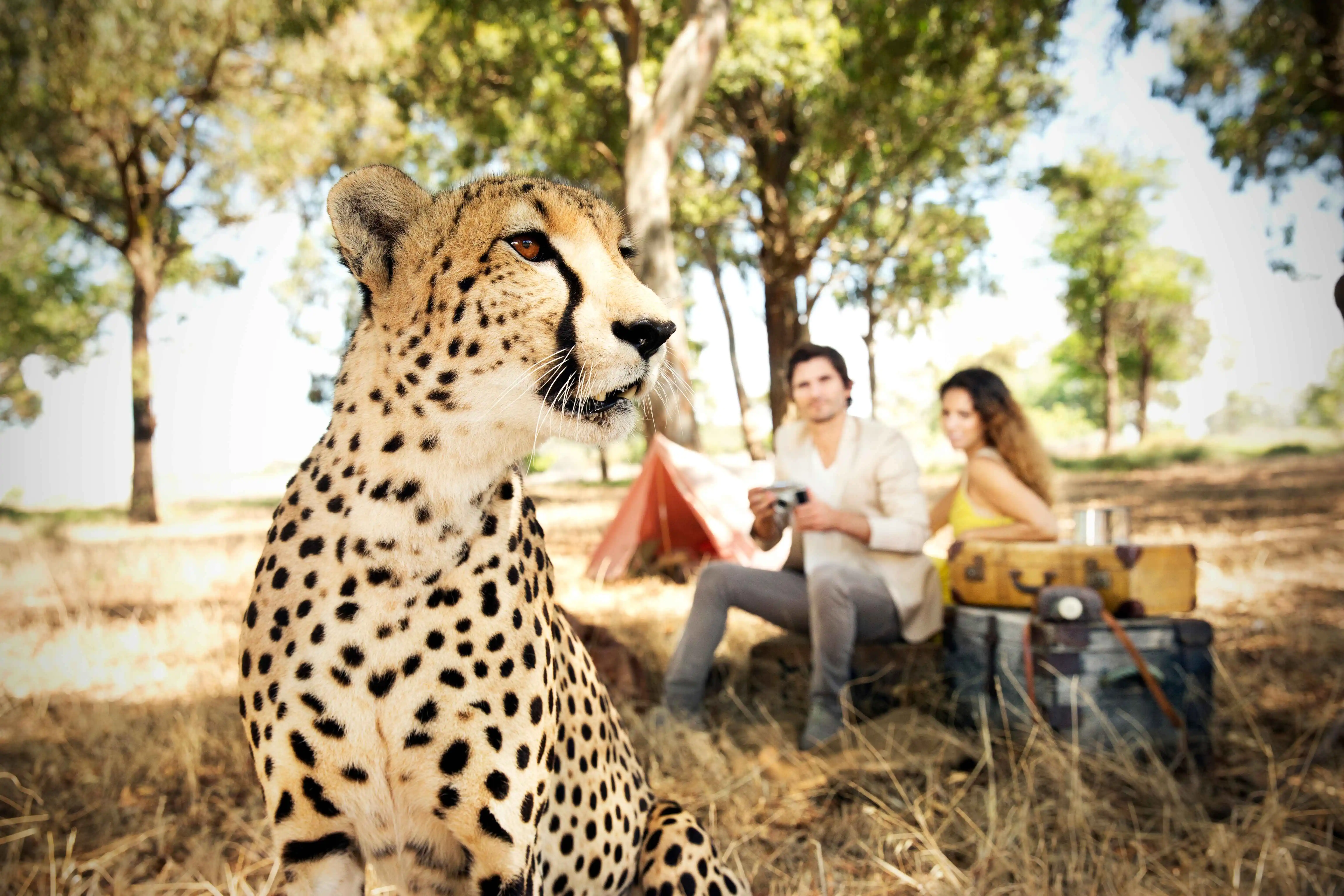 Safari Tansania Sansibar