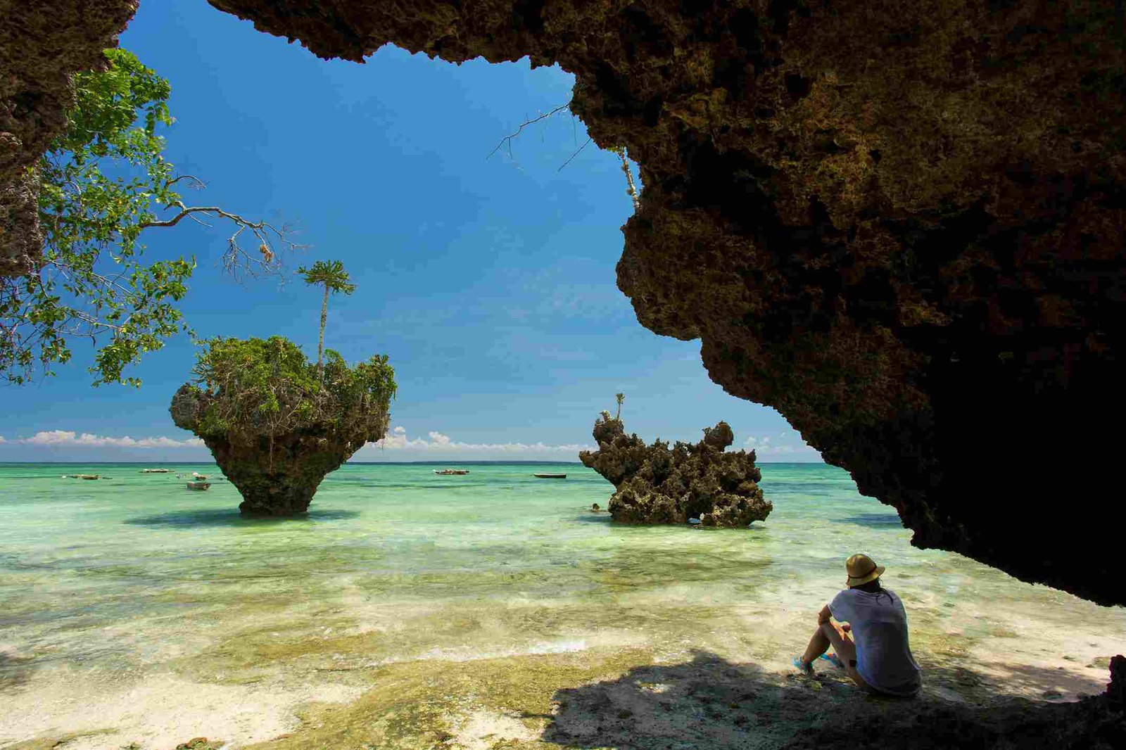 Safari und Sansibar Kombi