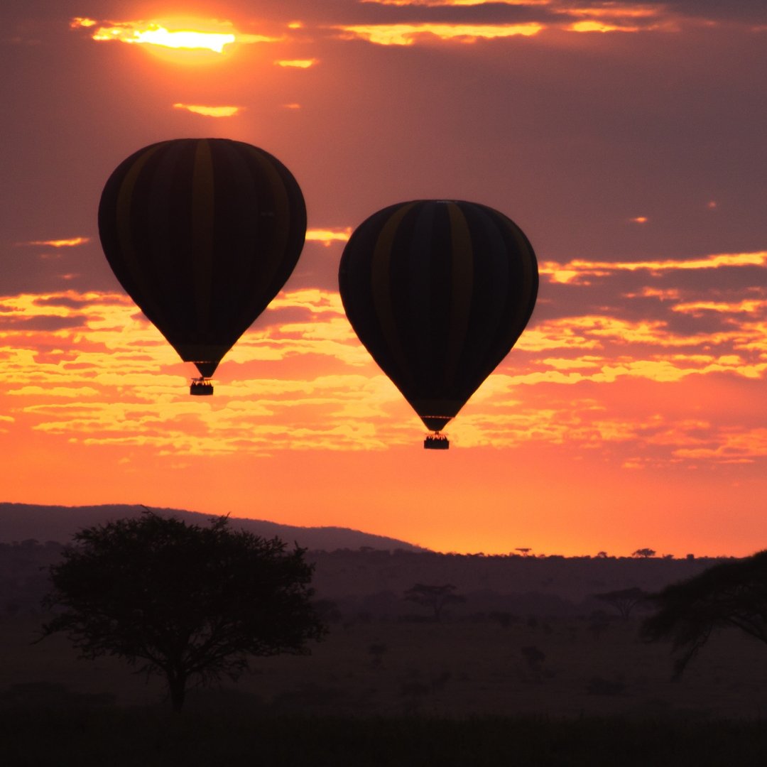 Heißluftballon-Safari in der Serengeti