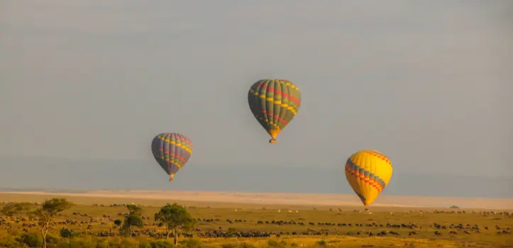 Europa erleben oder Safari-Abenteuer in Tansania