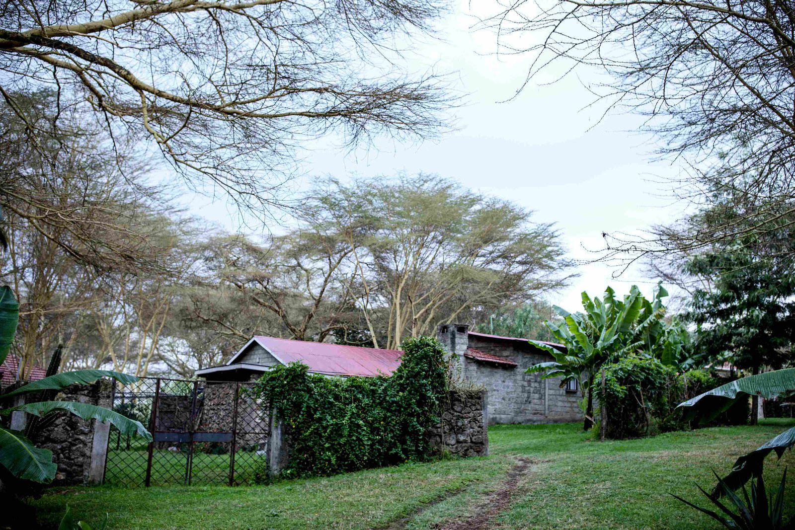 Serengeti Nationalpark Unterkunft