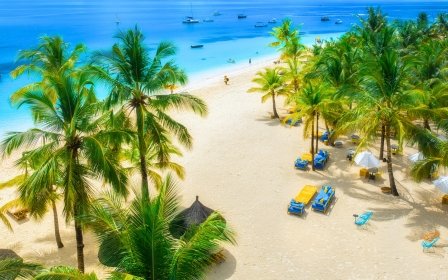 11 Tage Safari und Sansibar