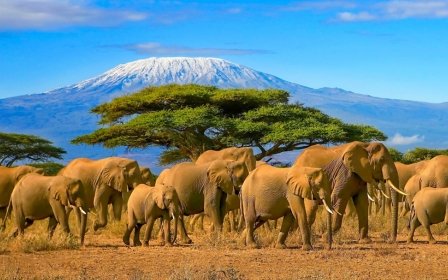 8 Tage Marangu Route Kilimandscharo