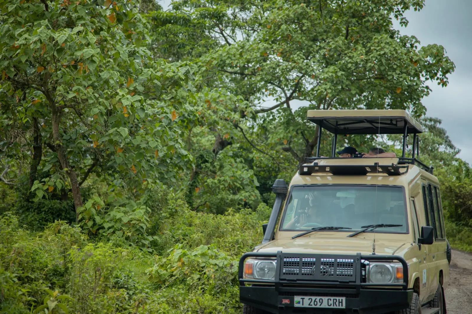 Tsavo West Nationalpark