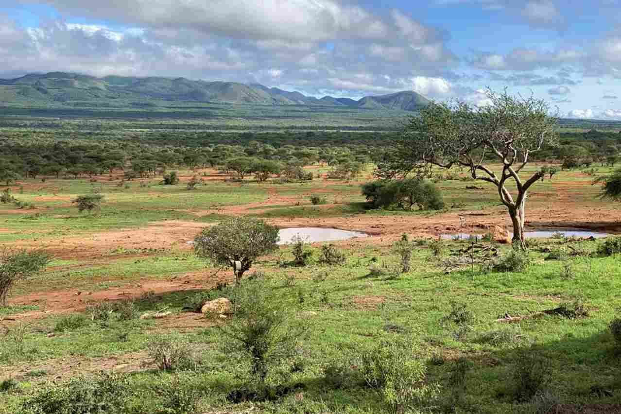 Tsavo West Nationalpark