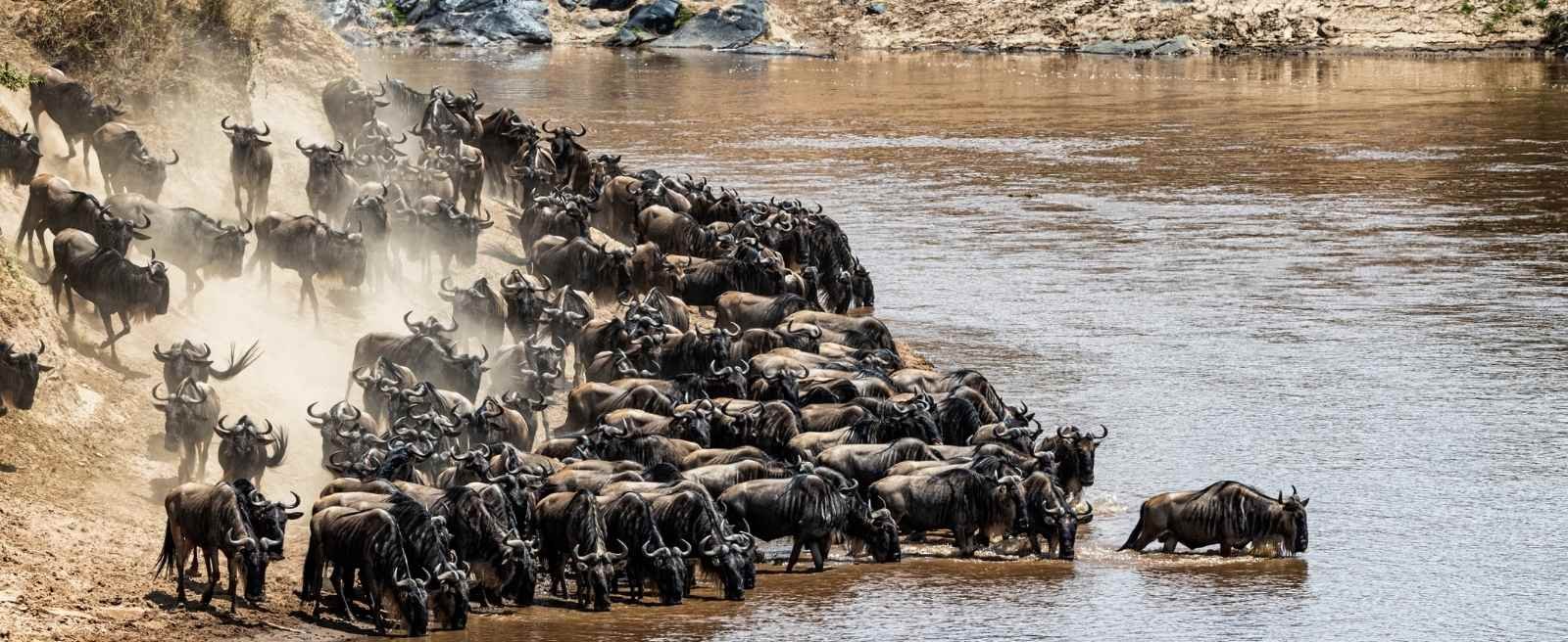 Kinder-Safari Tansania