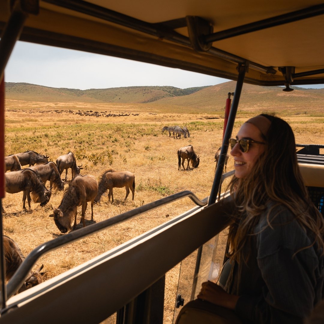 Pirschfahrt entlang des Tarangire-Flusses in der Trockenzeit