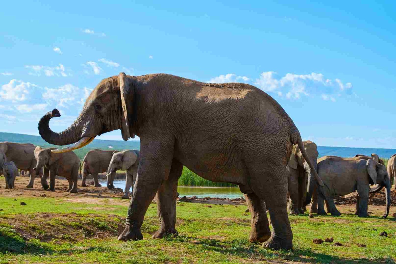 Tsitsikamma-Nationalpark