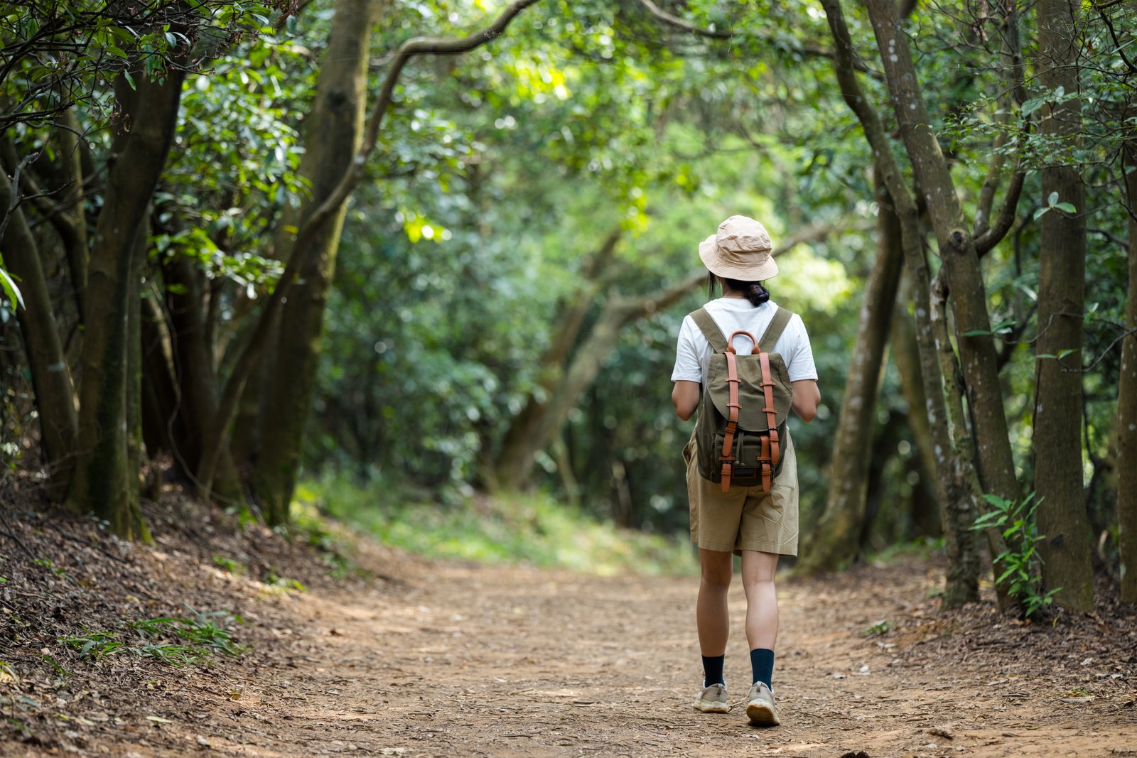 Forschung Waldbaden Immunsystem