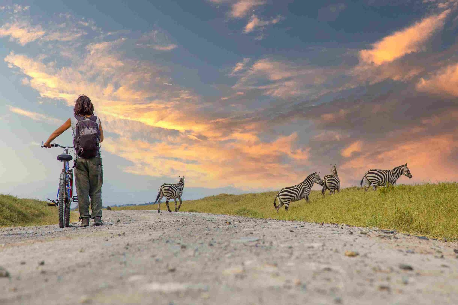 Safari in Nairobi Nationalpark